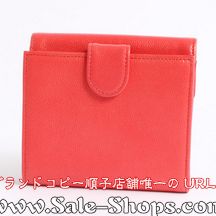 �V���l���R�s�[����