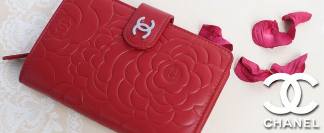 �V���l�� �J�����A �����X�L�� ��܍��z ���[�W�����b�h A50087