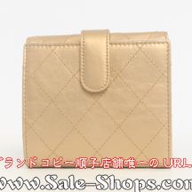 �V���l���R�s�[����